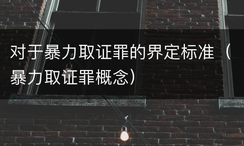 对于暴力取证罪的界定标准（暴力取证罪概念）