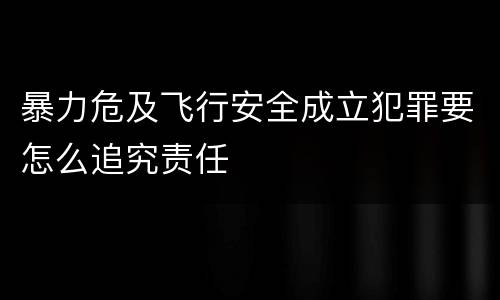 暴力危及飞行安全成立犯罪要怎么追究责任