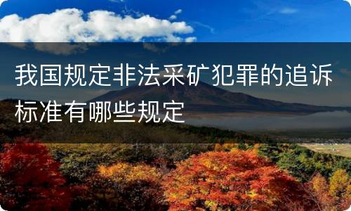 我国规定非法采矿犯罪的追诉标准有哪些规定