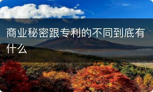 商业秘密跟专利的不同到底有什么