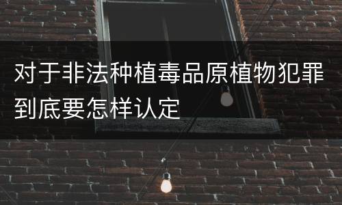 对于非法种植毒品原植物犯罪到底要怎样认定