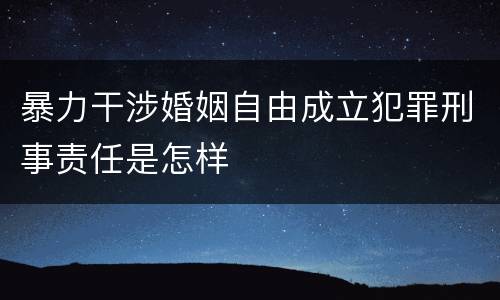 暴力干涉婚姻自由成立犯罪刑事责任是怎样