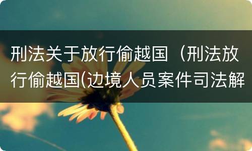 刑法关于放行偷越国（刑法放行偷越国(边境人员案件司法解释会如何规定）