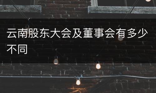 云南股东大会及董事会有多少不同