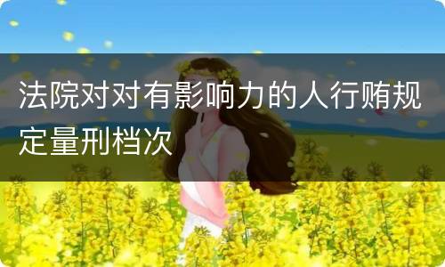 法院对对有影响力的人行贿规定量刑档次