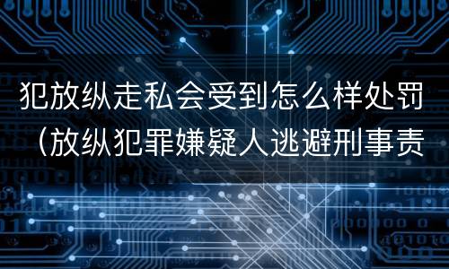 犯放纵走私会受到怎么样处罚（放纵犯罪嫌疑人逃避刑事责任）