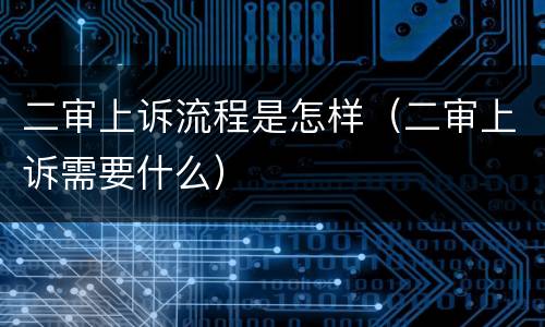 二审上诉流程是怎样（二审上诉需要什么）