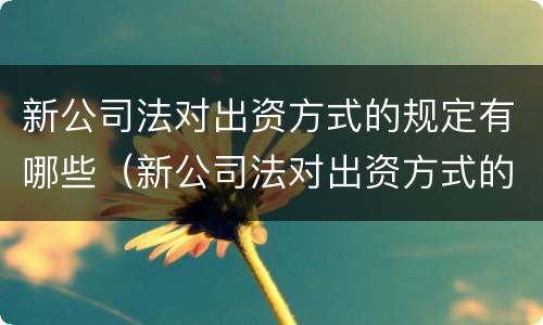 新公司法对出资方式的规定有哪些（新公司法对出资方式的规定有哪些内容）