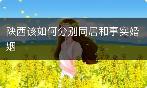 陕西该如何分别同居和事实婚姻