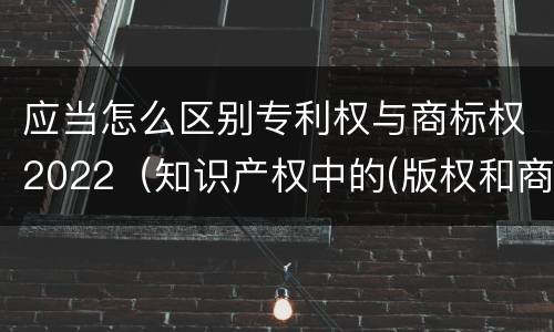 应当怎么区别专利权与商标权2022（知识产权中的(版权和商标权与标准）