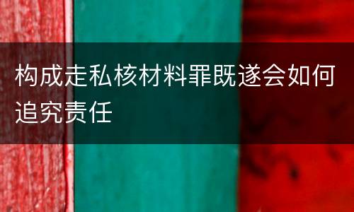 构成走私核材料罪既遂会如何追究责任