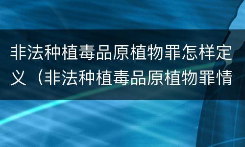 非法种植毒品原植物罪怎样定义（非法种植毒品原植物罪情节严重的三种情形是什么）