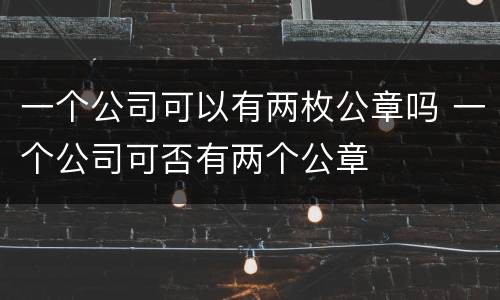 一个公司可以有两枚公章吗 一个公司可否有两个公章