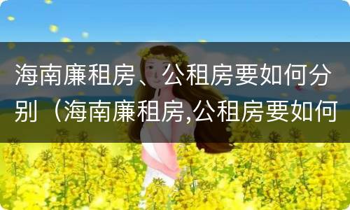 海南廉租房、公租房要如何分别（海南廉租房,公租房要如何分别出租）
