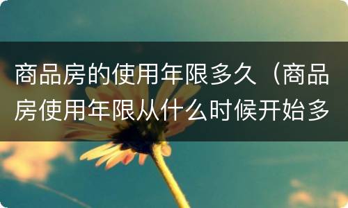 商品房的使用年限多久（商品房使用年限从什么时候开始多少年）