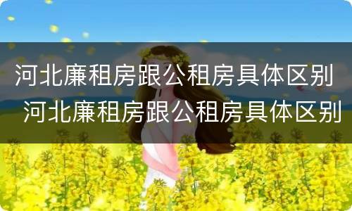 河北廉租房跟公租房具体区别 河北廉租房跟公租房具体区别是什么