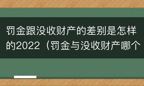 罚金跟没收财产的差别是怎样的2022（罚金与没收财产哪个优先）