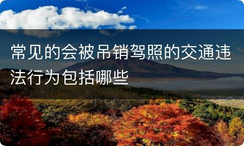 常见的会被吊销驾照的交通违法行为包括哪些