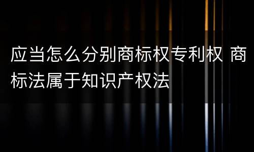 应当怎么分别商标权专利权 商标法属于知识产权法