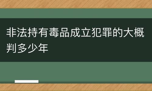 非法持有毒品成立犯罪的大概判多少年