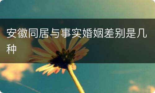 安徽同居与事实婚姻差别是几种
