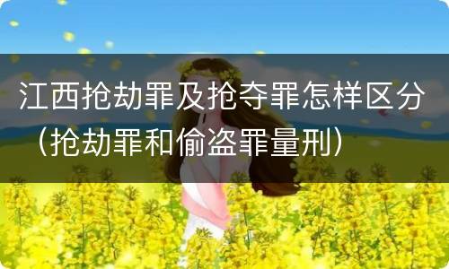 江西抢劫罪及抢夺罪怎样区分（抢劫罪和偷盗罪量刑）