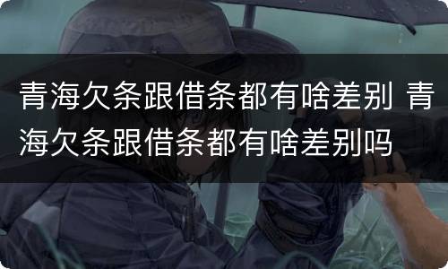 青海欠条跟借条都有啥差别 青海欠条跟借条都有啥差别吗