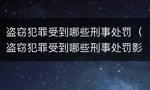 盗窃犯罪受到哪些刑事处罚（盗窃犯罪受到哪些刑事处罚影响）