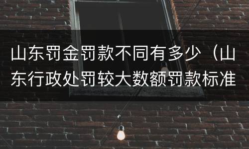 山东罚金罚款不同有多少（山东行政处罚较大数额罚款标准）