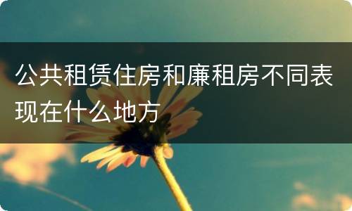 公共租赁住房和廉租房不同表现在什么地方