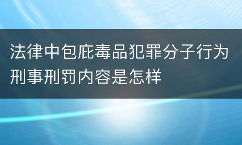 法律中包庇毒品犯罪分子行为刑事刑罚内容是怎样