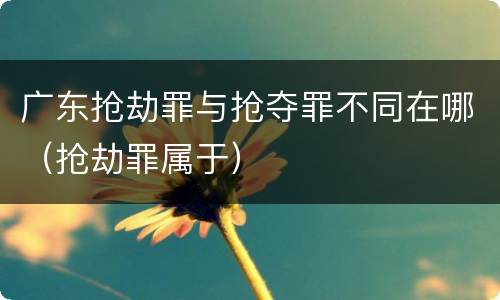 广东抢劫罪与抢夺罪不同在哪（抢劫罪属于）