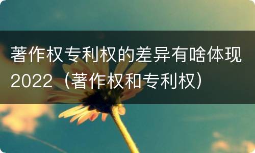 著作权专利权的差异有啥体现2022（著作权和专利权）