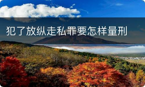 犯了放纵走私罪要怎样量刑