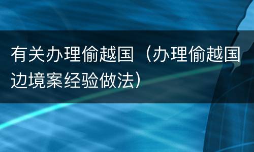 有关办理偷越国（办理偷越国边境案经验做法）