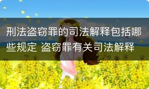 刑法盗窃罪的司法解释包括哪些规定 盗窃罪有关司法解释