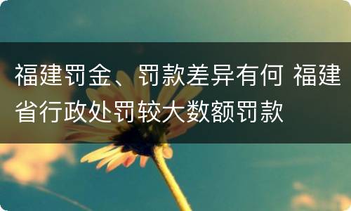 福建罚金、罚款差异有何 福建省行政处罚较大数额罚款