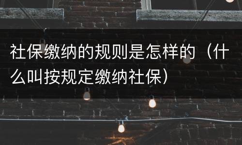 社保缴纳的规则是怎样的（什么叫按规定缴纳社保）