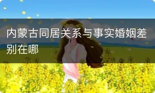 内蒙古同居关系与事实婚姻差别在哪