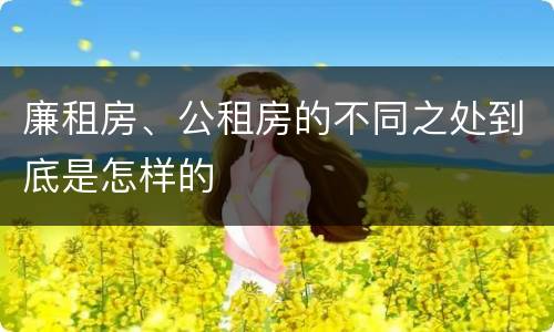 廉租房、公租房的不同之处到底是怎样的