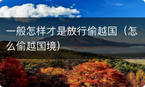 一般怎样才是放行偷越国（怎么偷越国境）