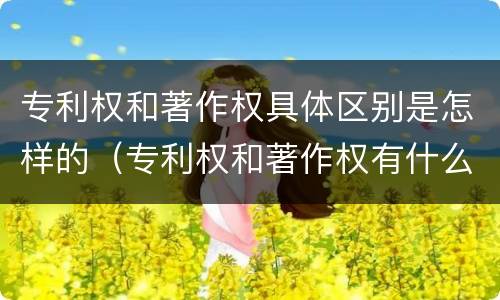 专利权和著作权具体区别是怎样的（专利权和著作权有什么区别）
