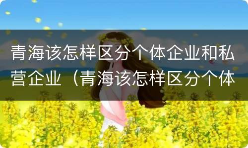 青海该怎样区分个体企业和私营企业（青海该怎样区分个体企业和私营企业呢）