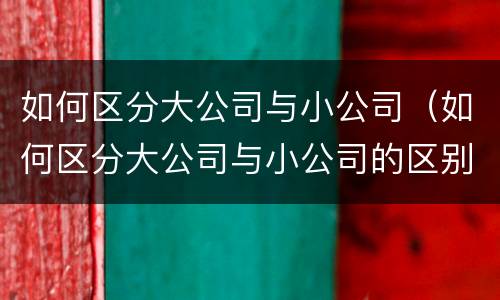 如何区分大公司与小公司（如何区分大公司与小公司的区别）