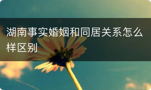 湖南事实婚姻和同居关系怎么样区别