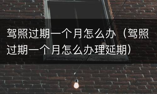 驾照过期一个月怎么办（驾照过期一个月怎么办理延期）