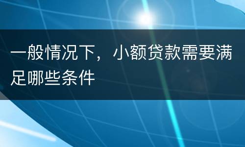 一般情况下，小额贷款需要满足哪些条件