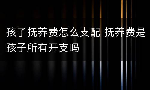 孩子抚养费怎么支配 抚养费是孩子所有开支吗