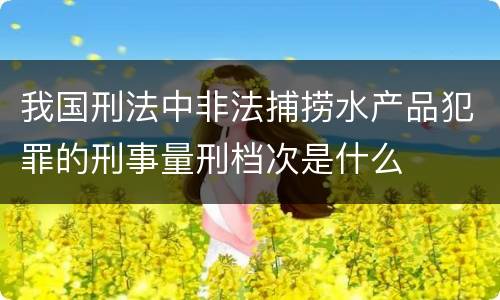 我国刑法中非法捕捞水产品犯罪的刑事量刑档次是什么