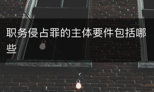 职务侵占罪的主体要件包括哪些